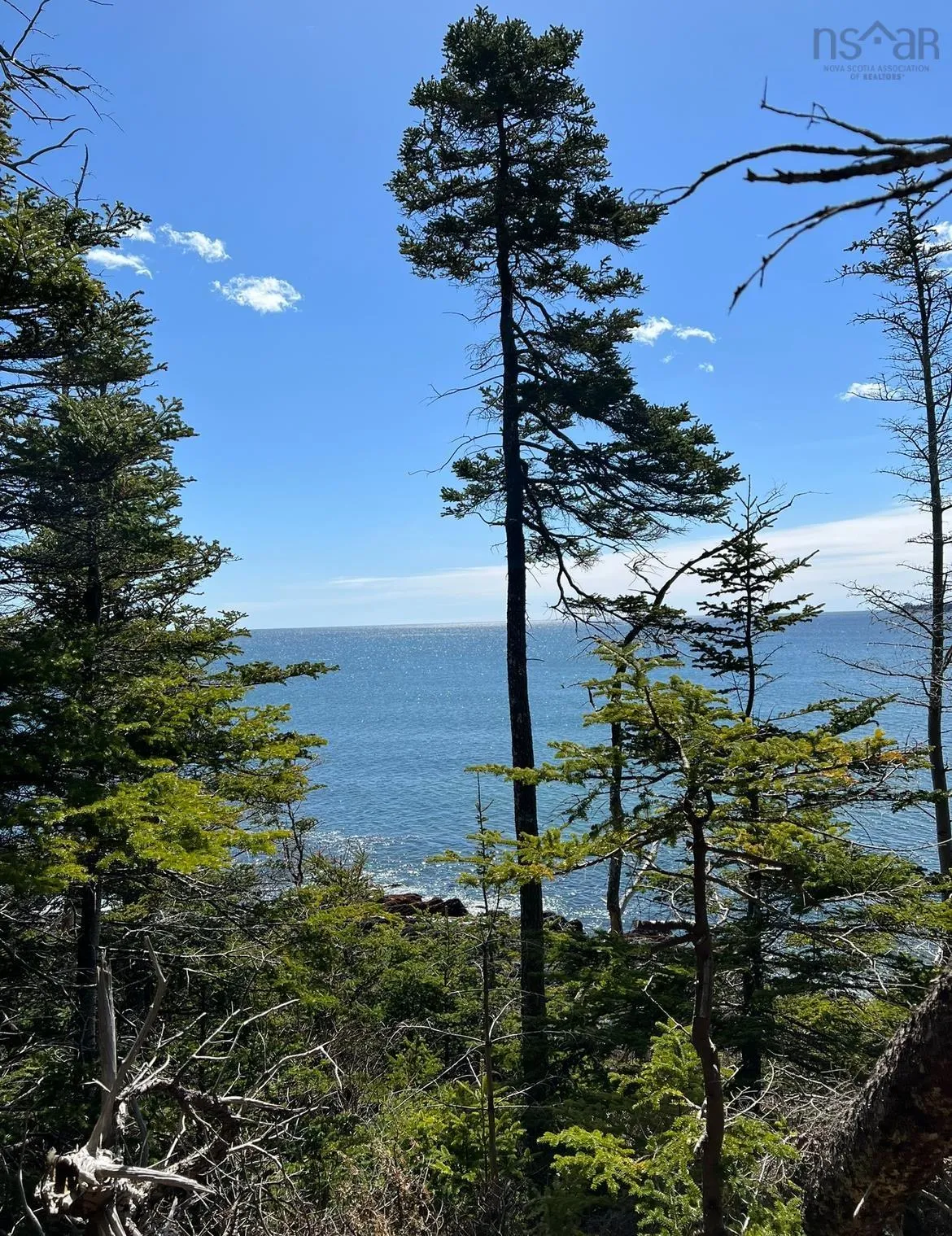 Lower Lahave Road, Upper Kingsburg Ns B0j 2x0, ,Land,For Sale,Lower Lahave,202407304