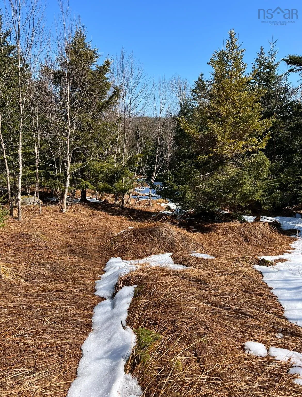 Lower Lahave Road, Upper Kingsburg Ns B0j 2x0, ,Land,For Sale,Lower Lahave,202407304