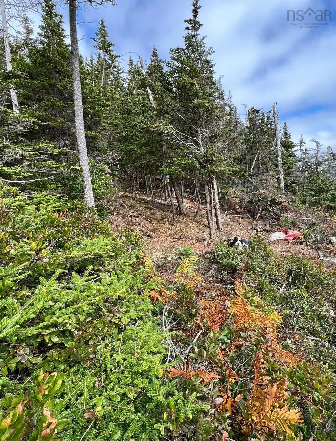 Lower Lahave Road, Upper Kingsburg Ns B0j 2x0, ,Land,For Sale,Lower Lahave,202407304