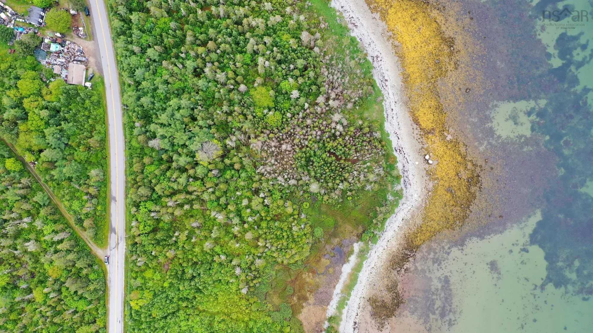 Shore Road, North East Harbour, NS B0T 1W0, ,Land,For Sale,Shore,202514621