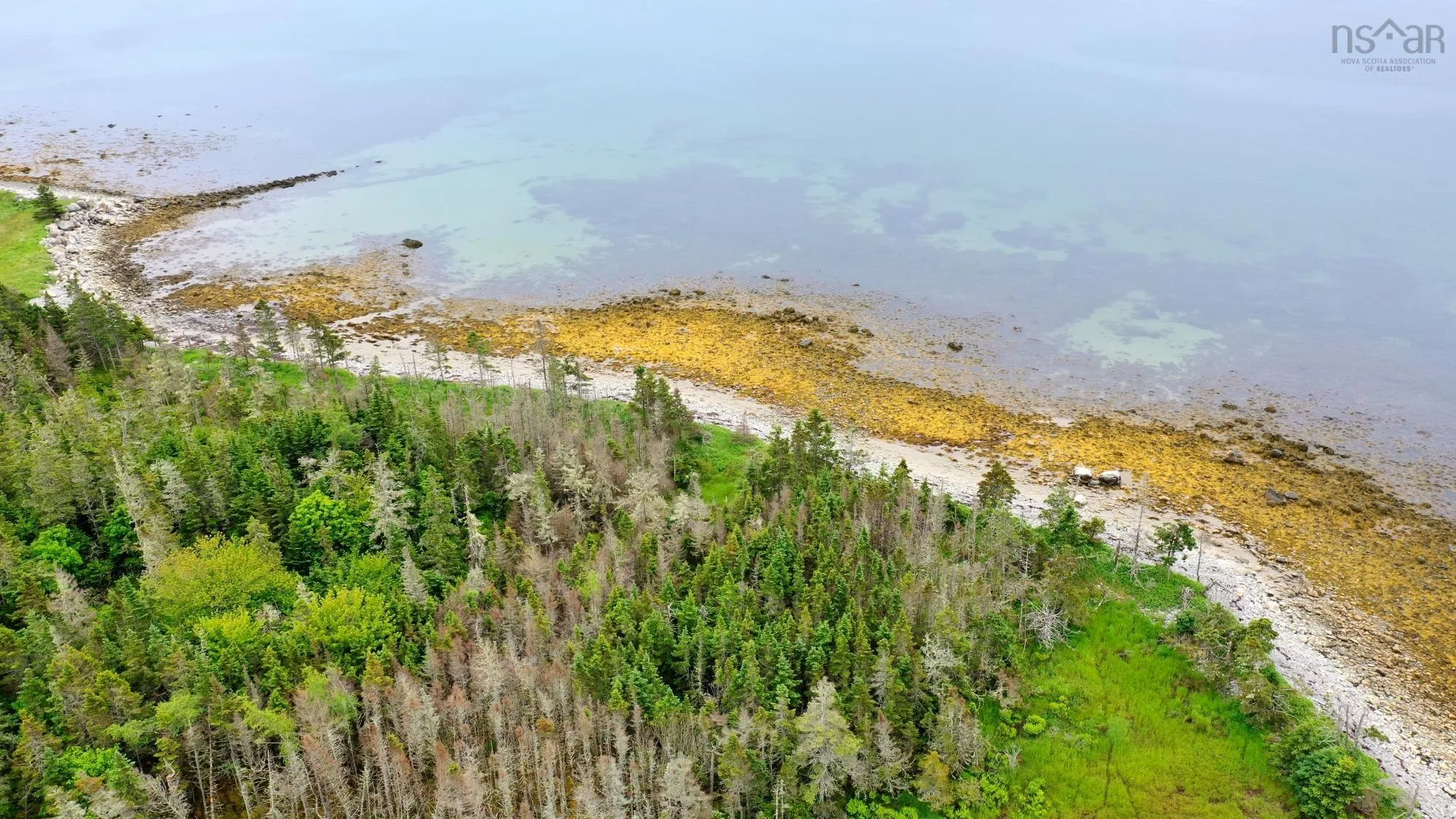 Shore Road, North East Harbour, NS B0T 1W0, ,Land,For Sale,Shore,202514621