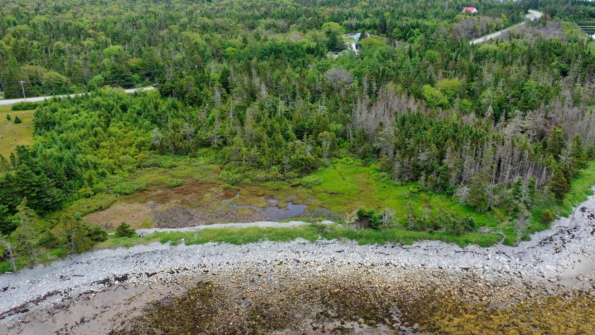 Shore Road, North East Harbour, NS B0T 1W0, ,Land,For Sale,Shore,202514621