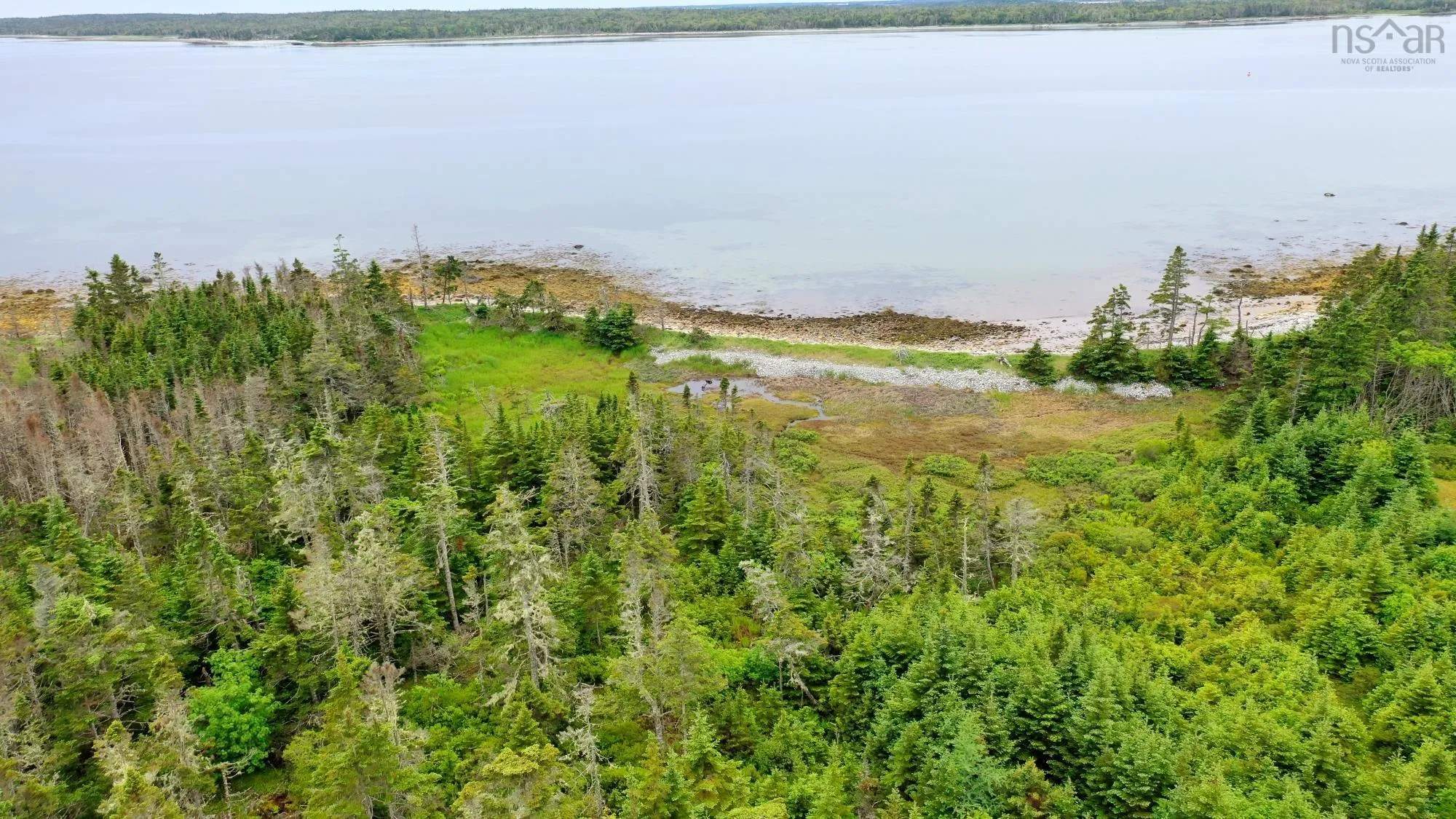 Shore Road, North East Harbour, NS B0T 1W0, ,Land,For Sale,Shore,202514621
