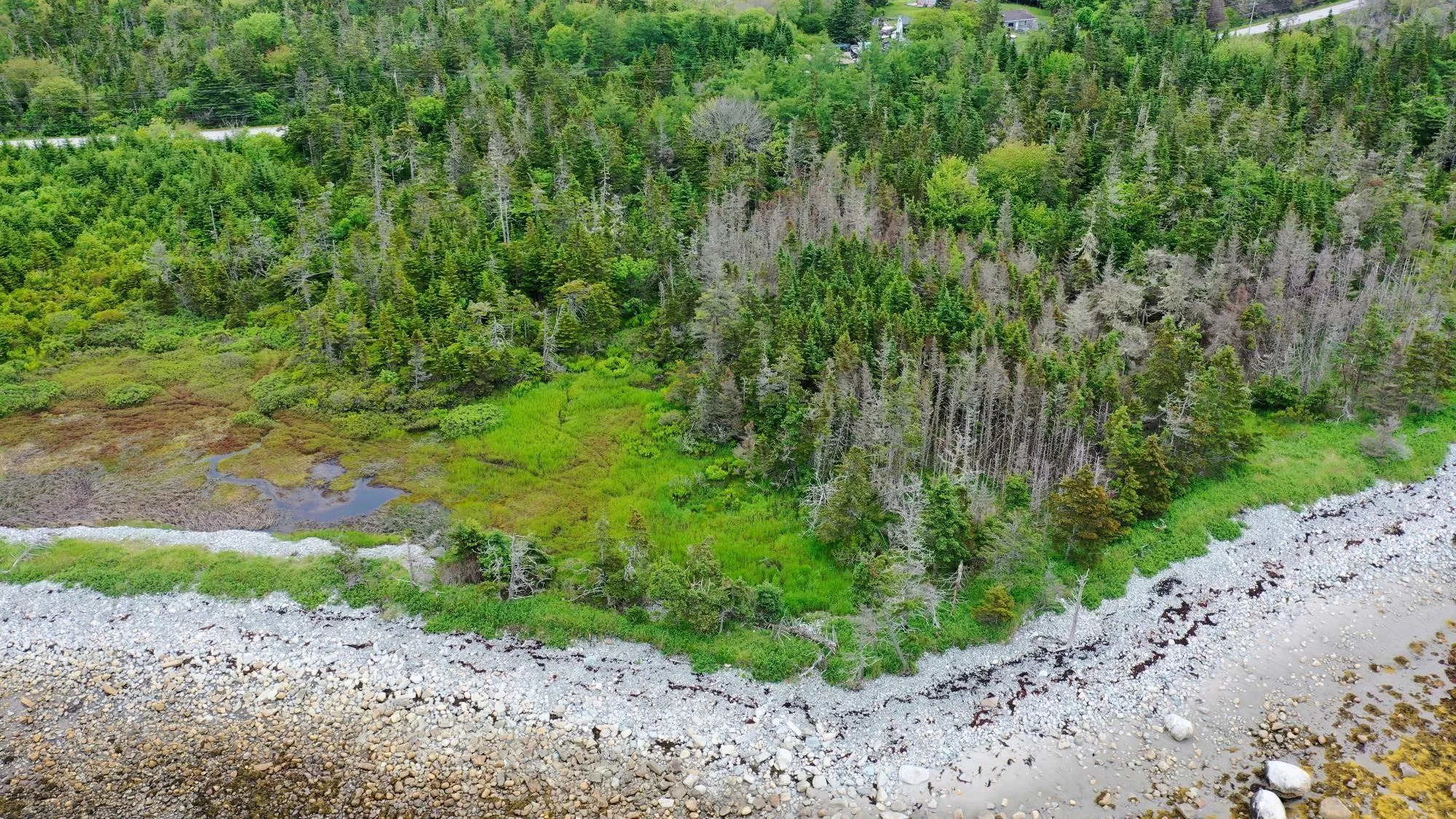Shore Road, North East Harbour, NS B0T 1W0, ,Land,For Sale,Shore,202514621