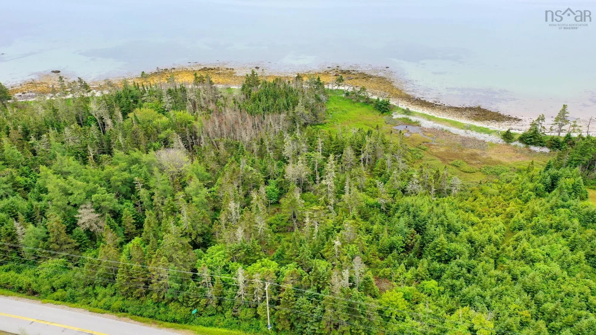 Shore Road, North East Harbour, NS B0T 1W0, ,Land,For Sale,Shore,202514621
