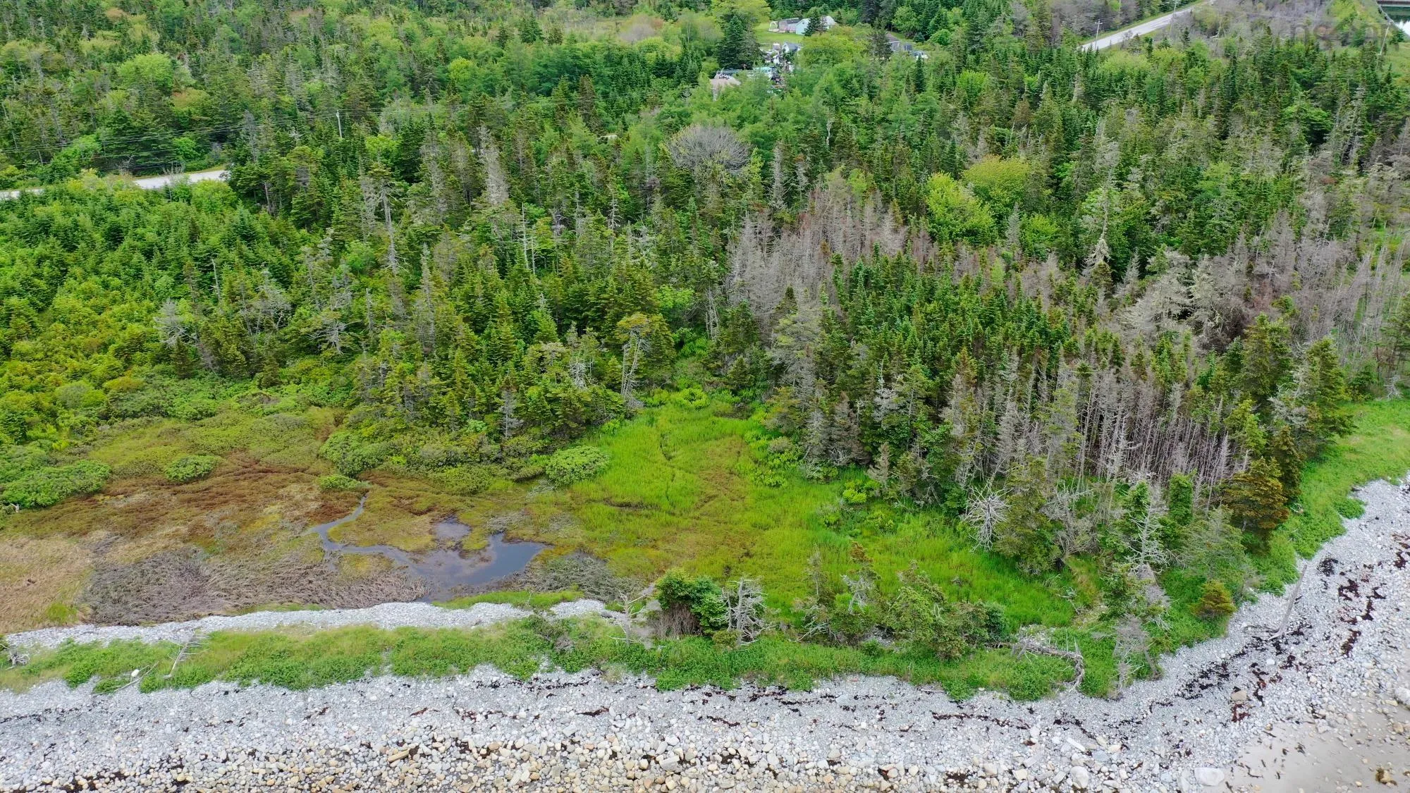 Shore Road, North East Harbour, NS B0T 1W0, ,Land,For Sale,Shore,202514621
