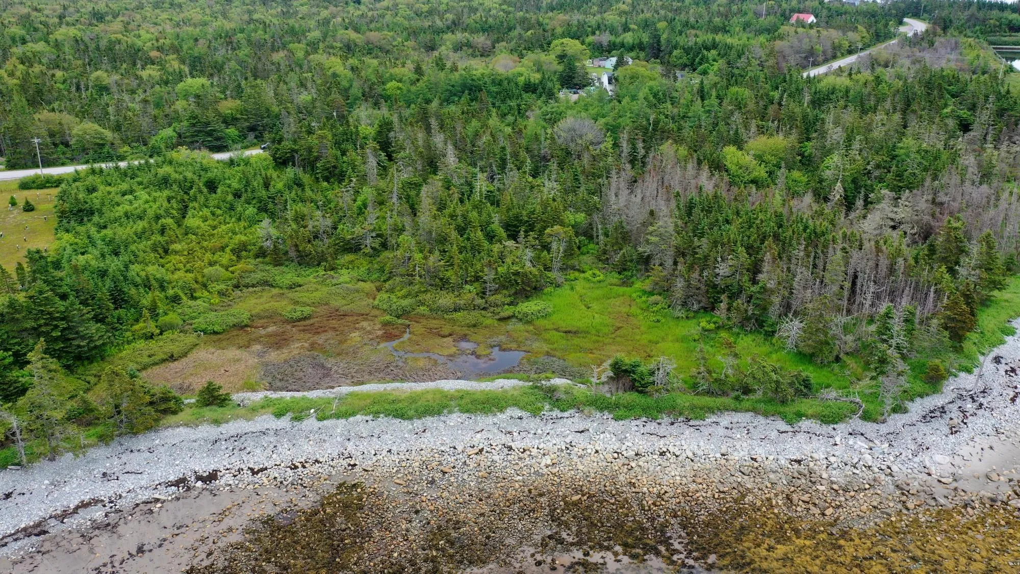 Shore Road, North East Harbour, NS B0T 1W0, ,Land,For Sale,Shore,202514621