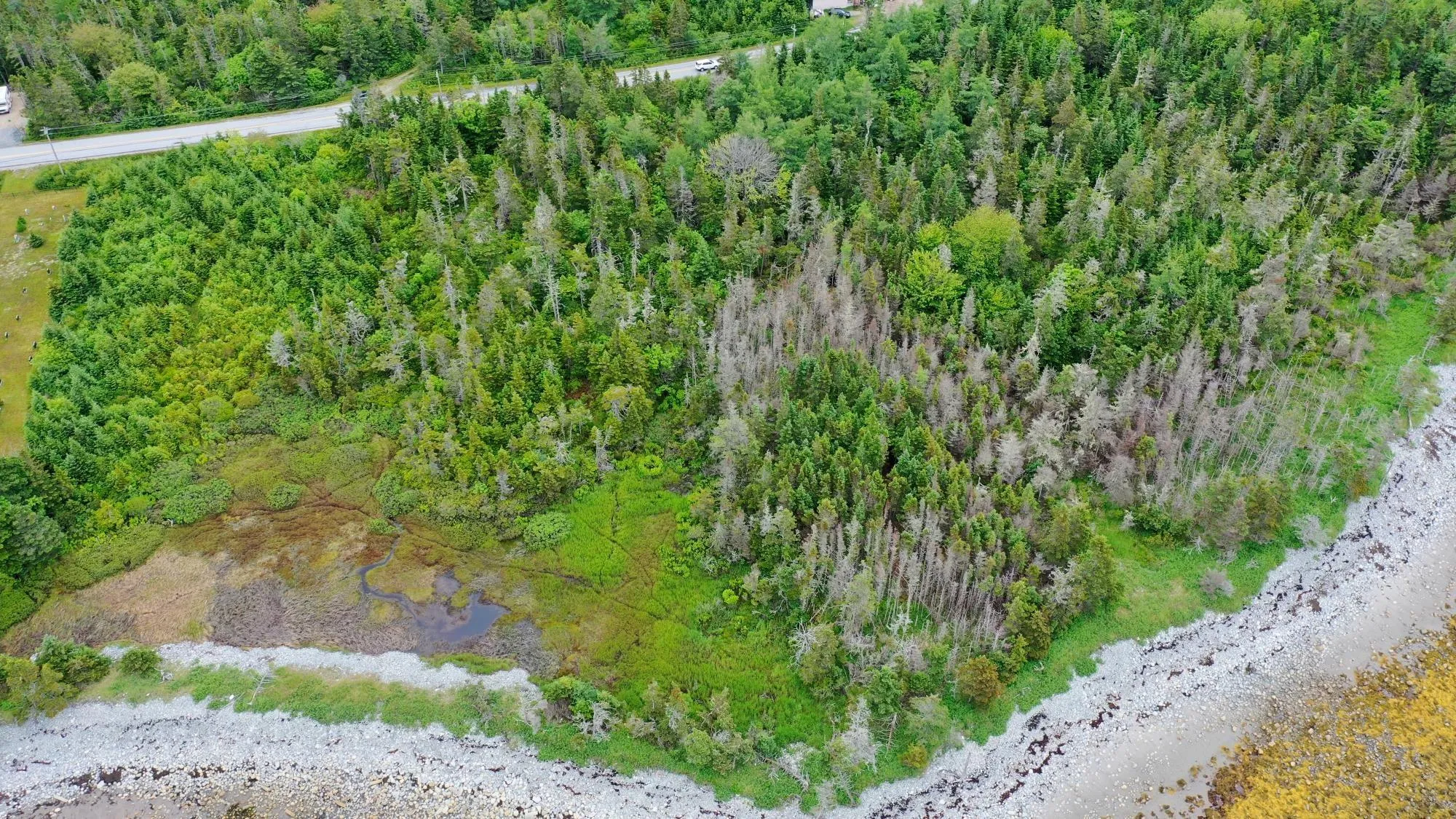 Shore Road, North East Harbour, NS B0T 1W0, ,Land,For Sale,Shore,202514621