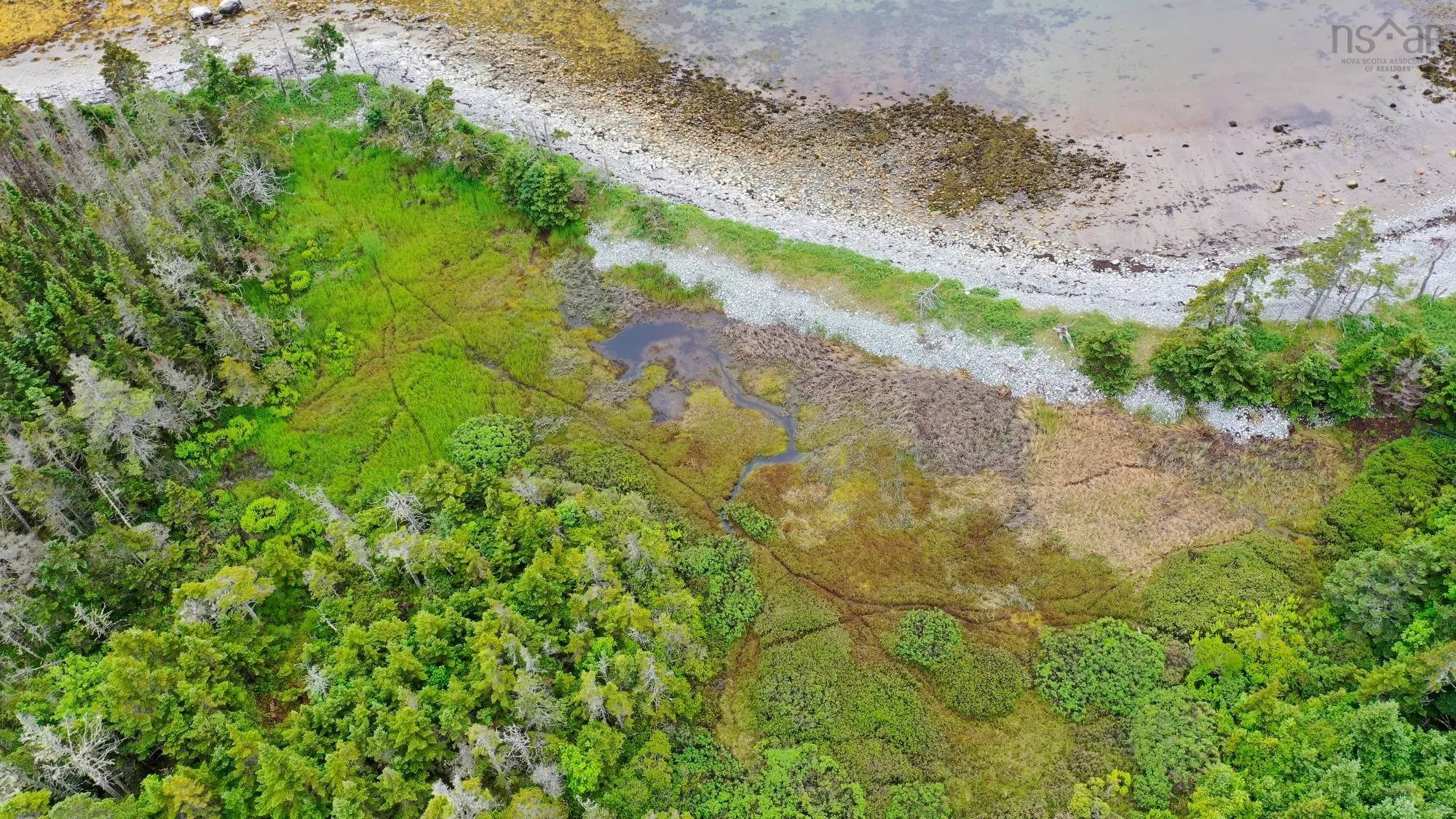 Shore Road, North East Harbour, NS B0T 1W0, ,Land,For Sale,Shore,202514621