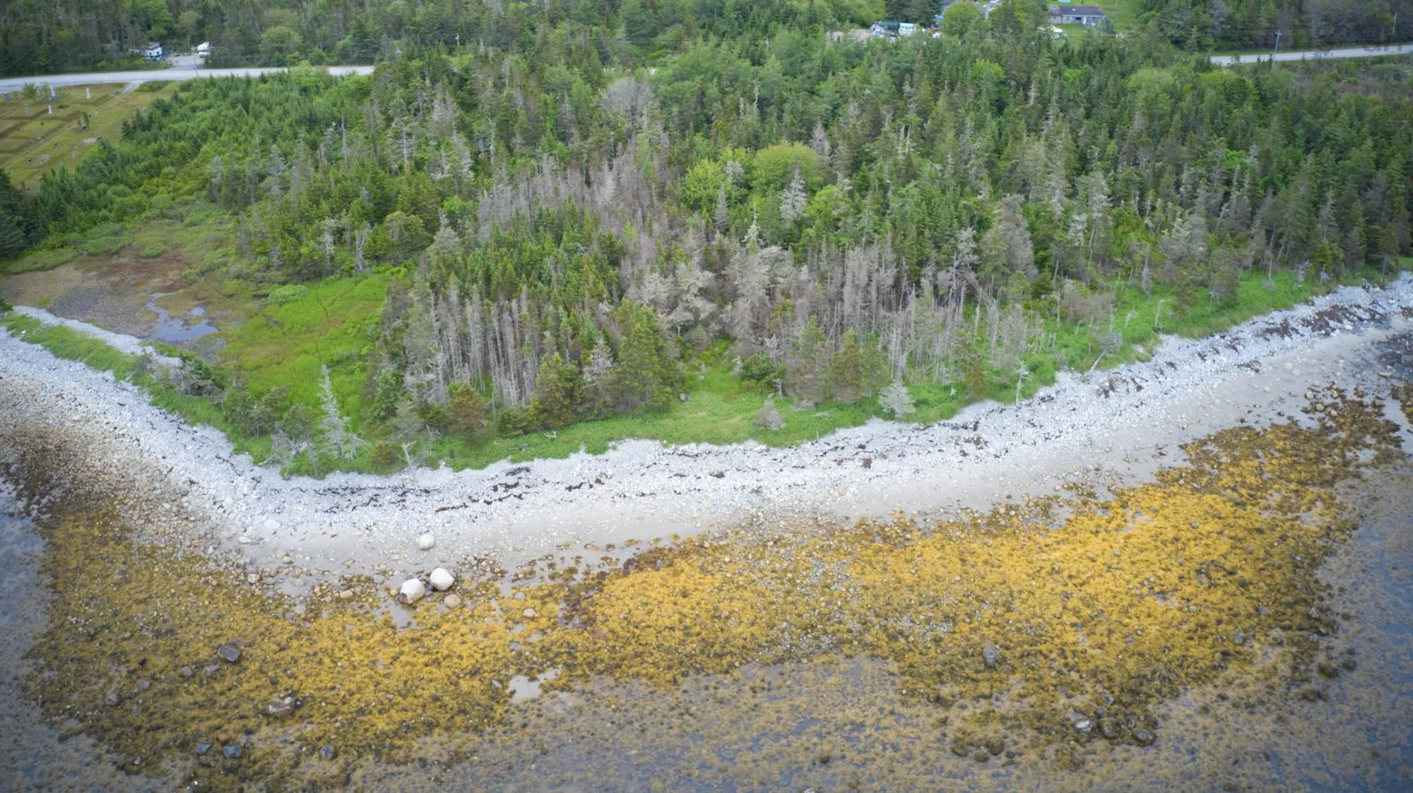 Shore Road, North East Harbour, NS B0T 1W0, ,Land,For Sale,Shore,202514621