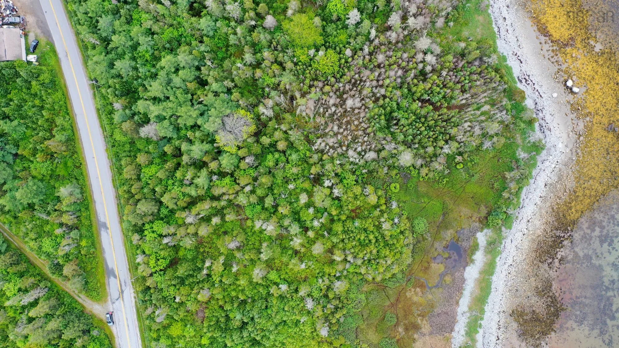 Shore Road, North East Harbour, NS B0T 1W0, ,Land,For Sale,Shore,202514621
