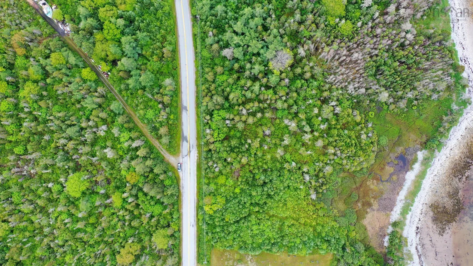 Shore Road, North East Harbour, NS B0T 1W0, ,Land,For Sale,Shore,202514621