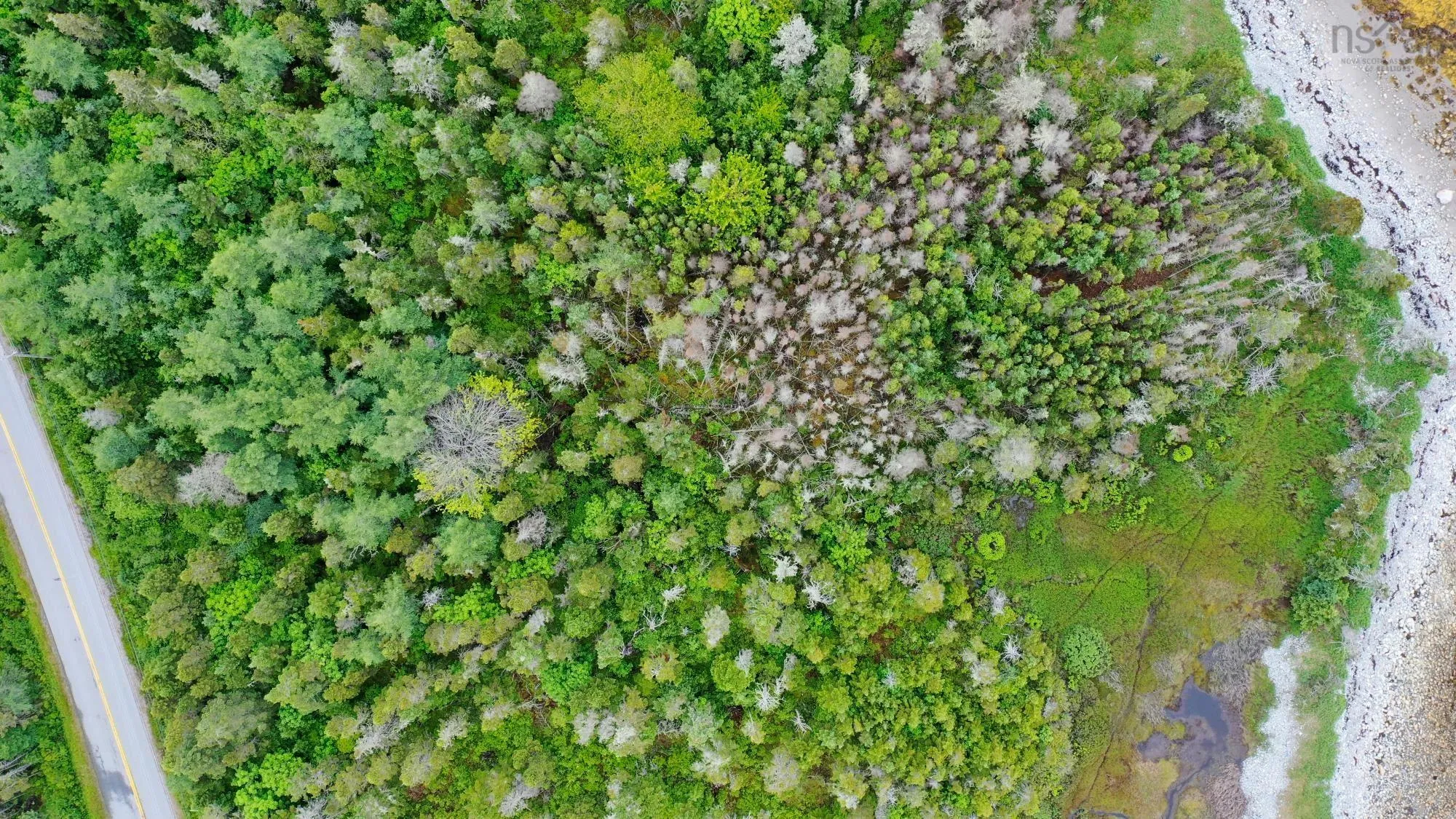 Shore Road, North East Harbour, NS B0T 1W0, ,Land,For Sale,Shore,202514621