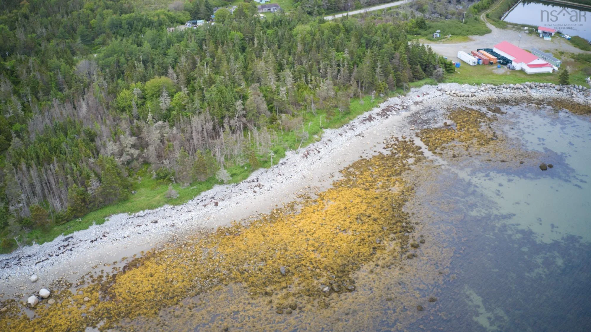 Shore Road, North East Harbour, NS B0T 1W0, ,Land,For Sale,Shore,202514621