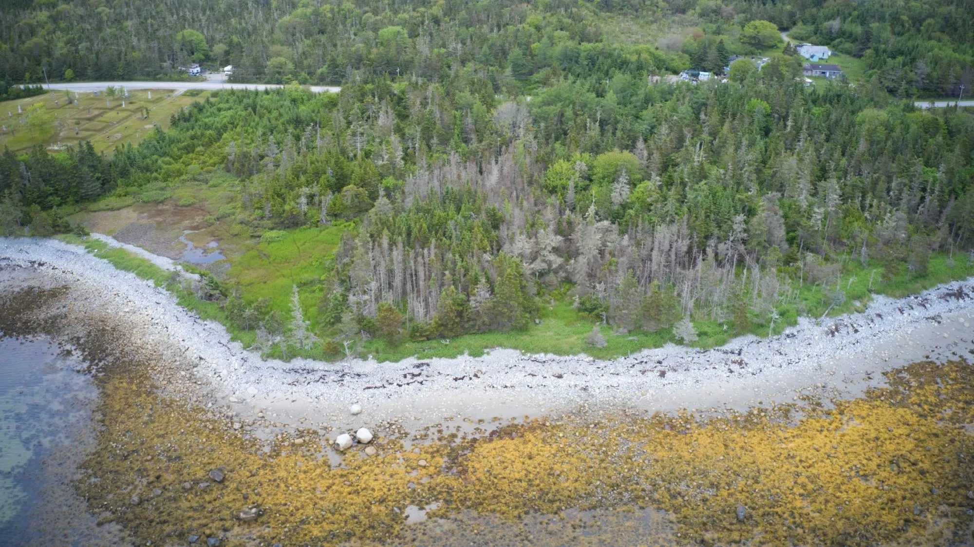 Shore Road, North East Harbour, NS B0T 1W0, ,Land,For Sale,Shore,202514621