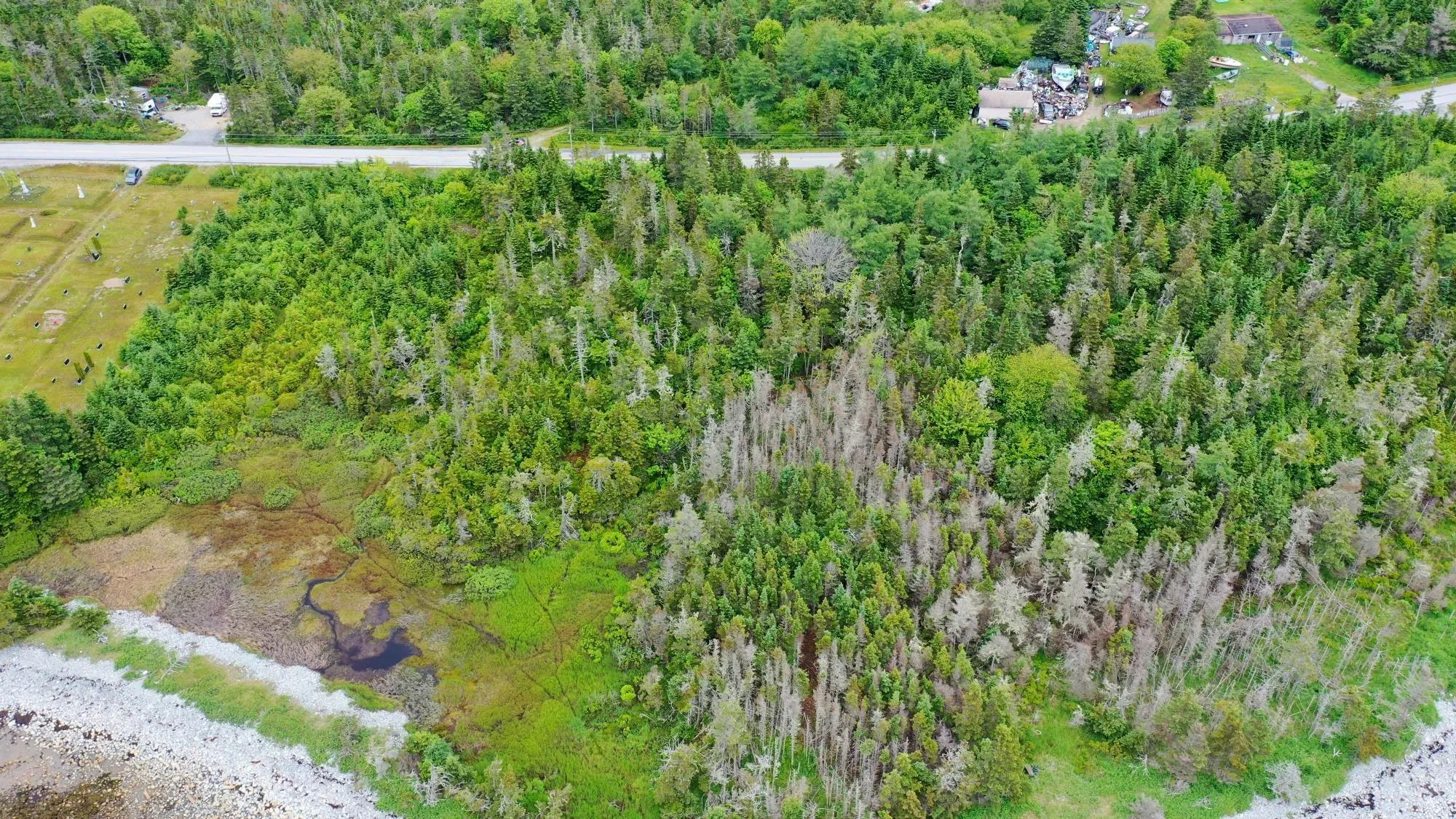 Shore Road, North East Harbour, NS B0T 1W0, ,Land,For Sale,Shore,202514621