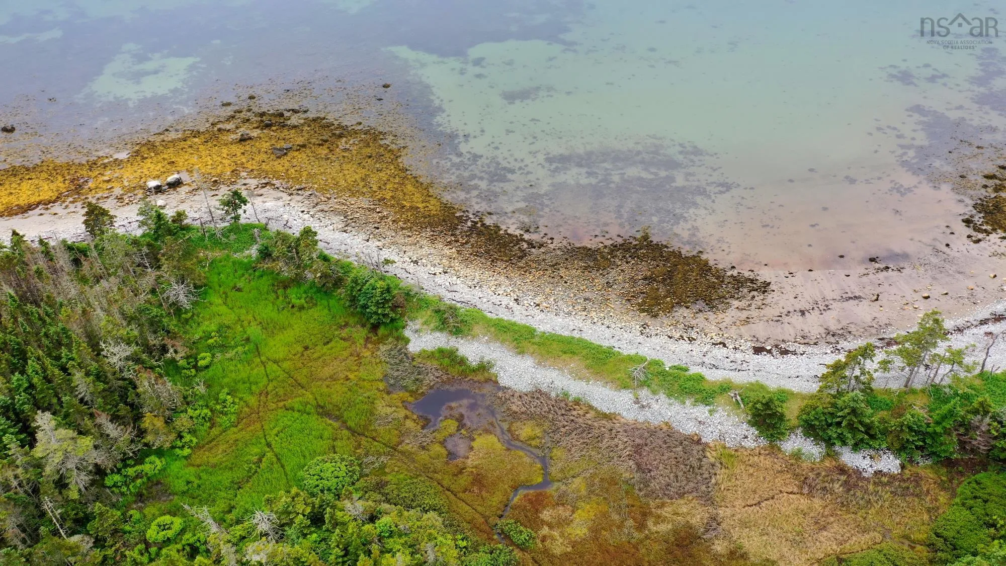 Shore Road, North East Harbour, NS B0T 1W0, ,Land,For Sale,Shore,202514621