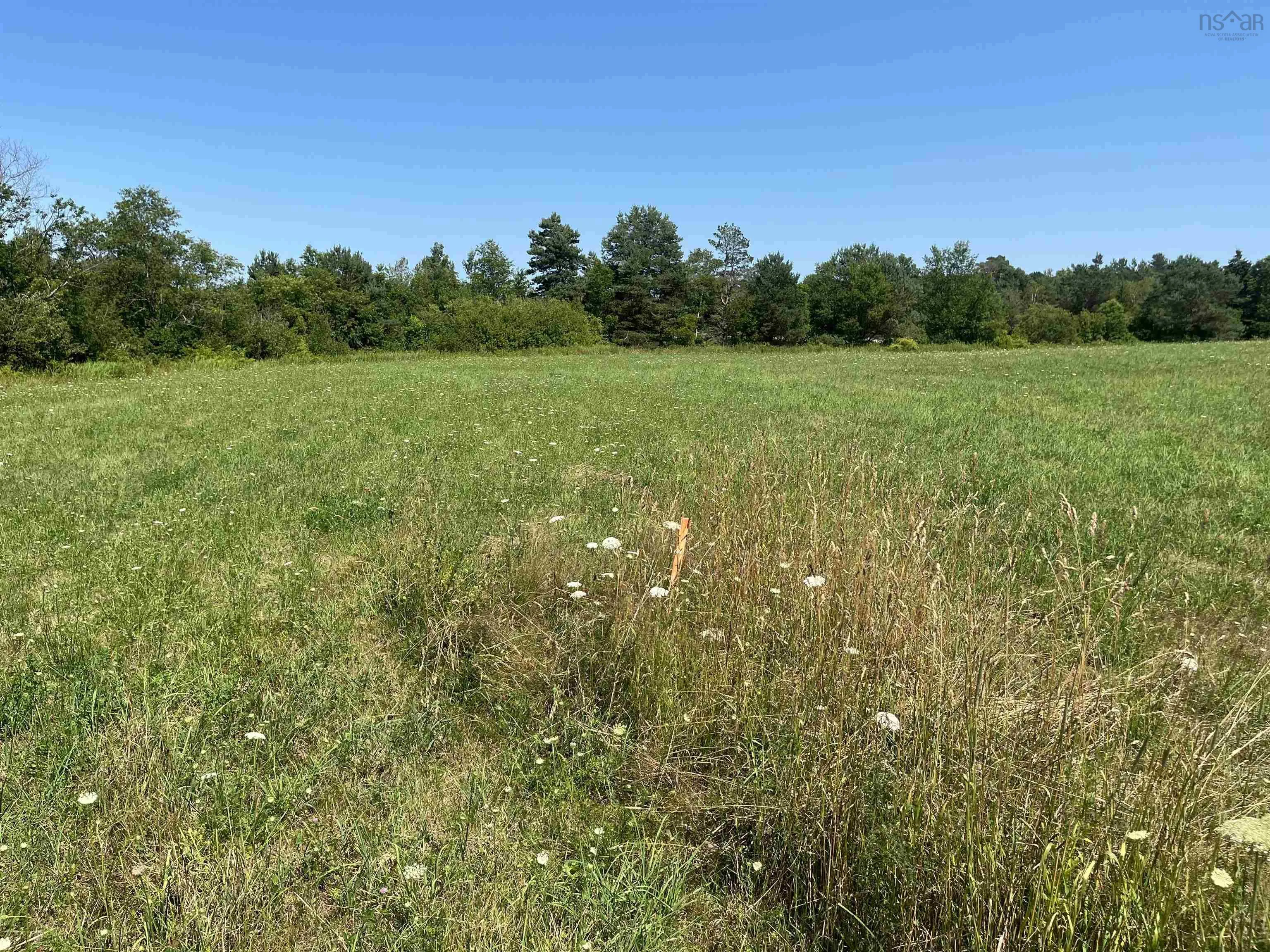 Highway 201 Lot 1, West Paradise, NS B0S 1C0, ,Land,For Sale,Highway 201,202518202