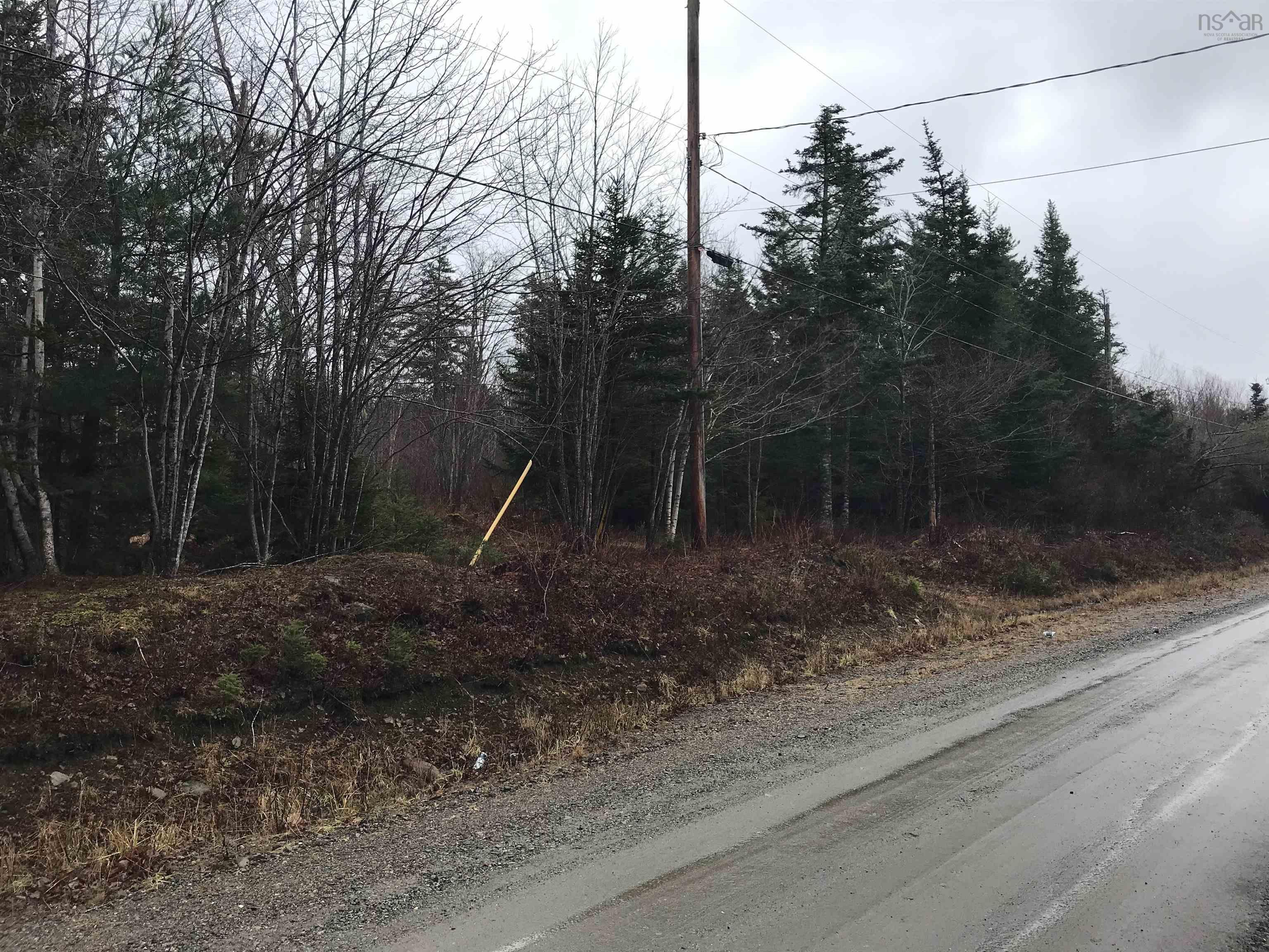 0 Bellevile Road, Belleville South NS B0W 3M0, ,Land,For Sale,Belleville,202227645
