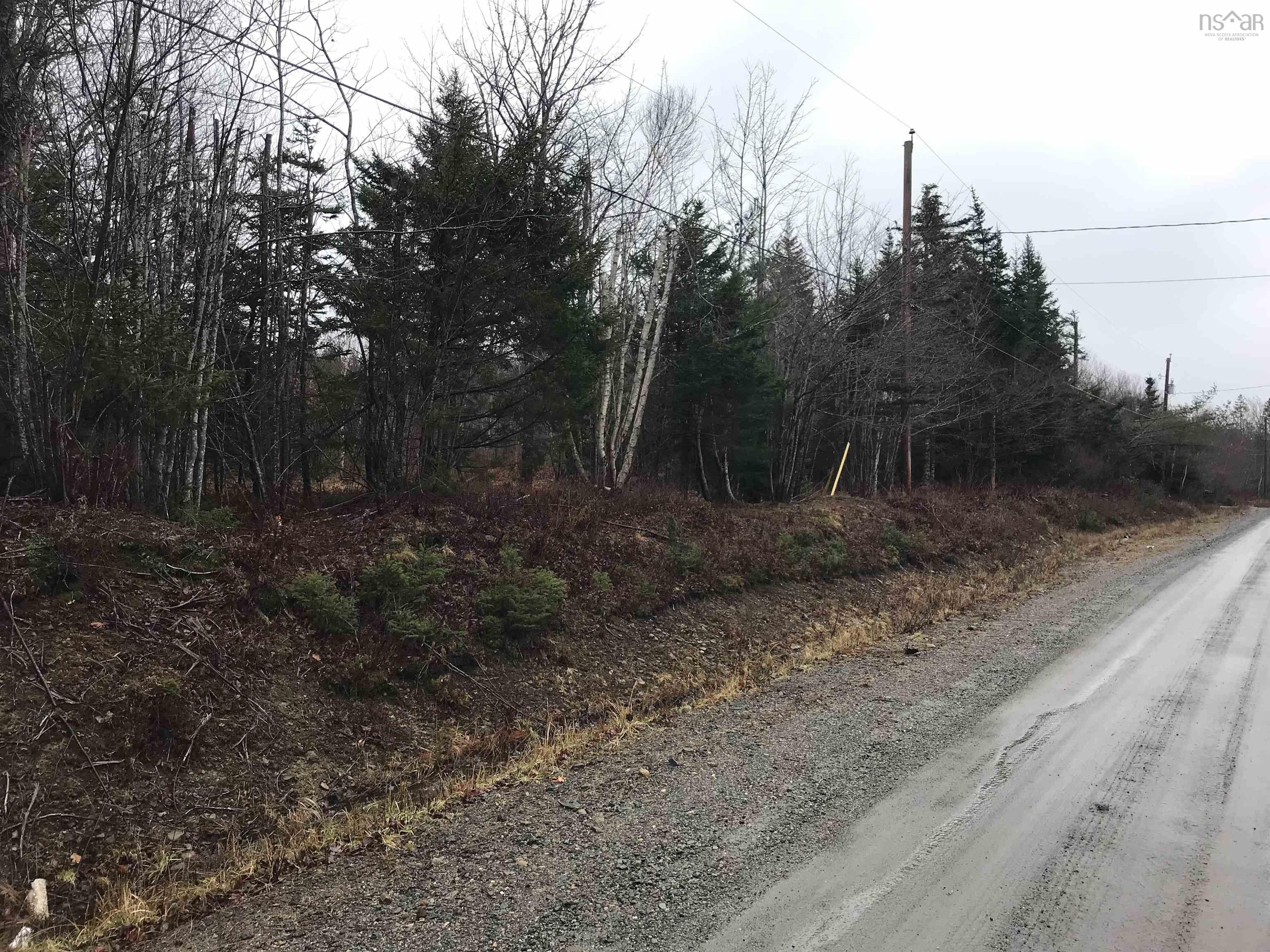 0 Bellevile Road, Belleville South NS B0W 3M0, ,Land,For Sale,Belleville,202227645