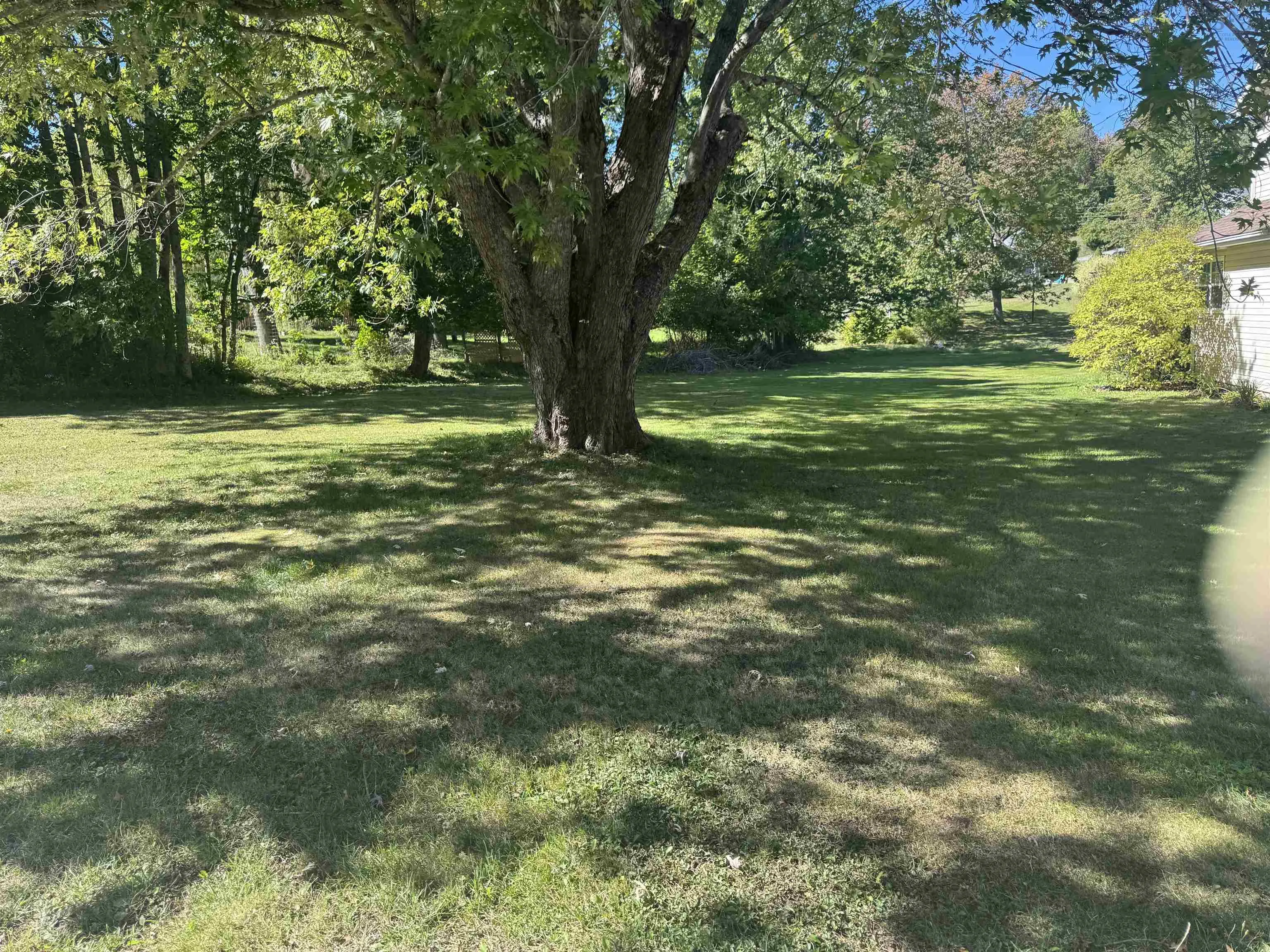 Lot 1 Holmes Hill Road, Hantsport, NS B0P 1P0, ,Land,For Sale,Holmes Hill,202523365