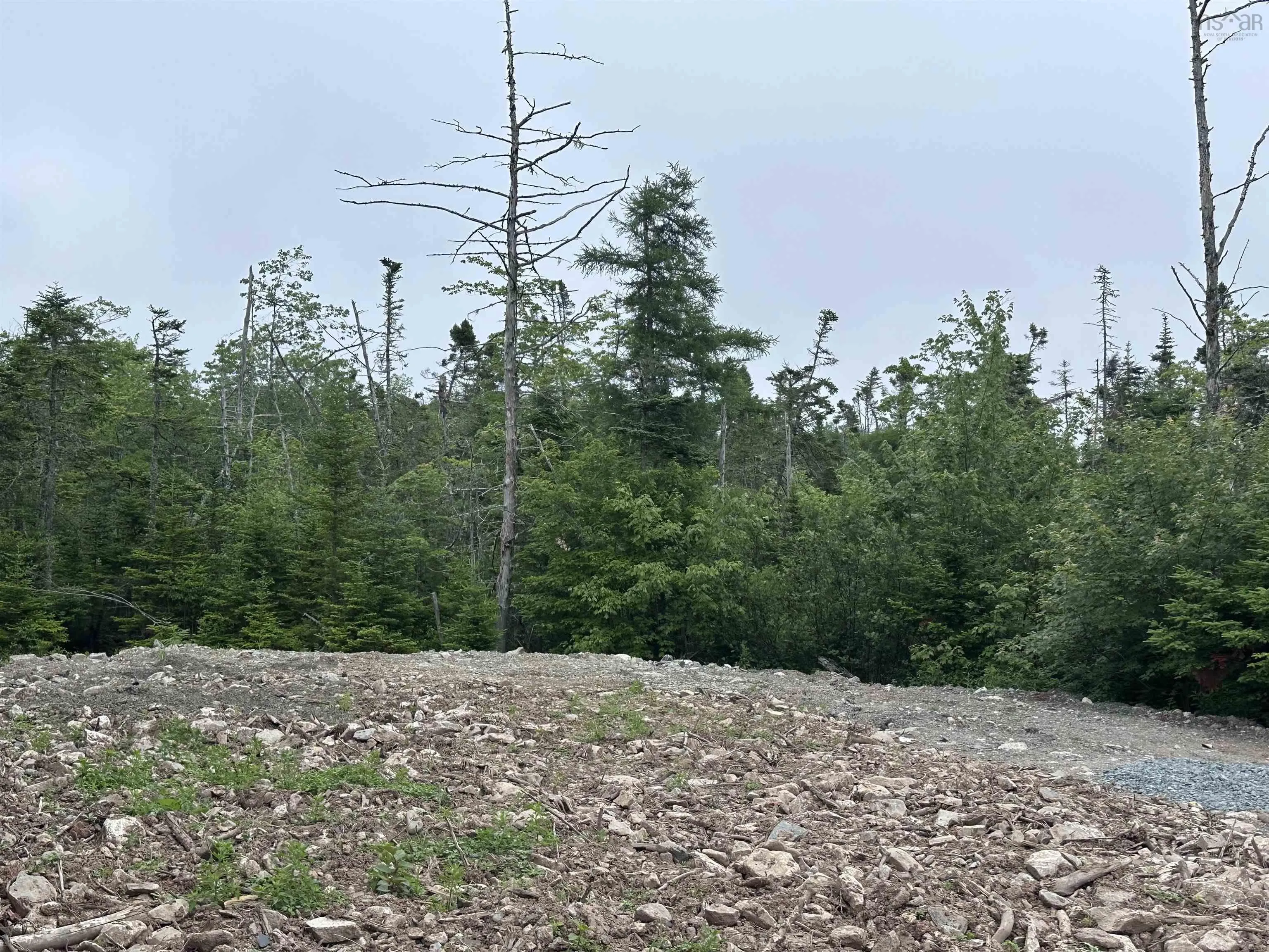 9660 Highway 7, Head Of Jeddore, NS B0J 1P0, ,Land,For Sale,Highway 7,202517701