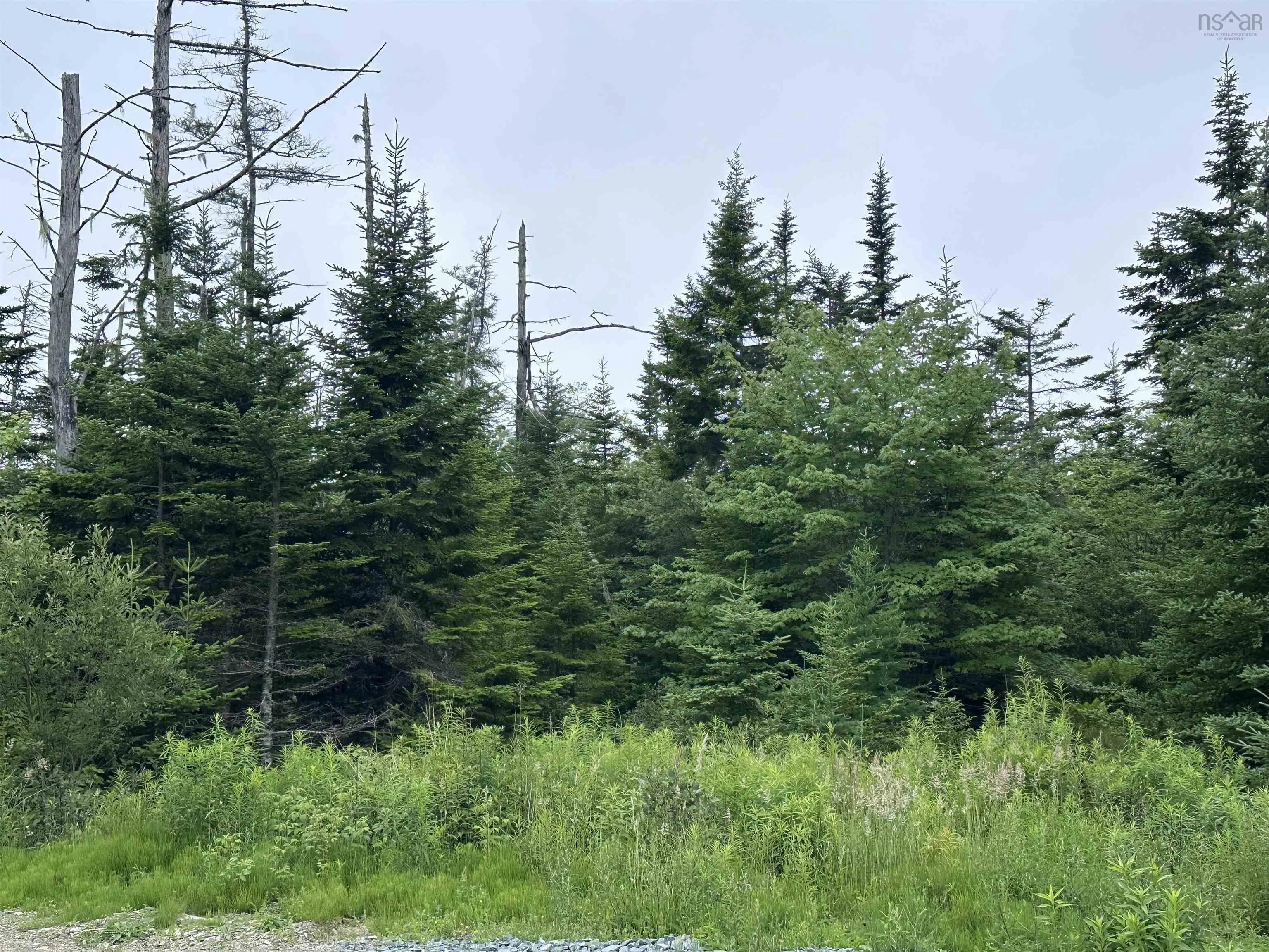 9660 Highway 7, Head Of Jeddore, NS B0J 1P0, ,Land,For Sale,Highway 7,202517701