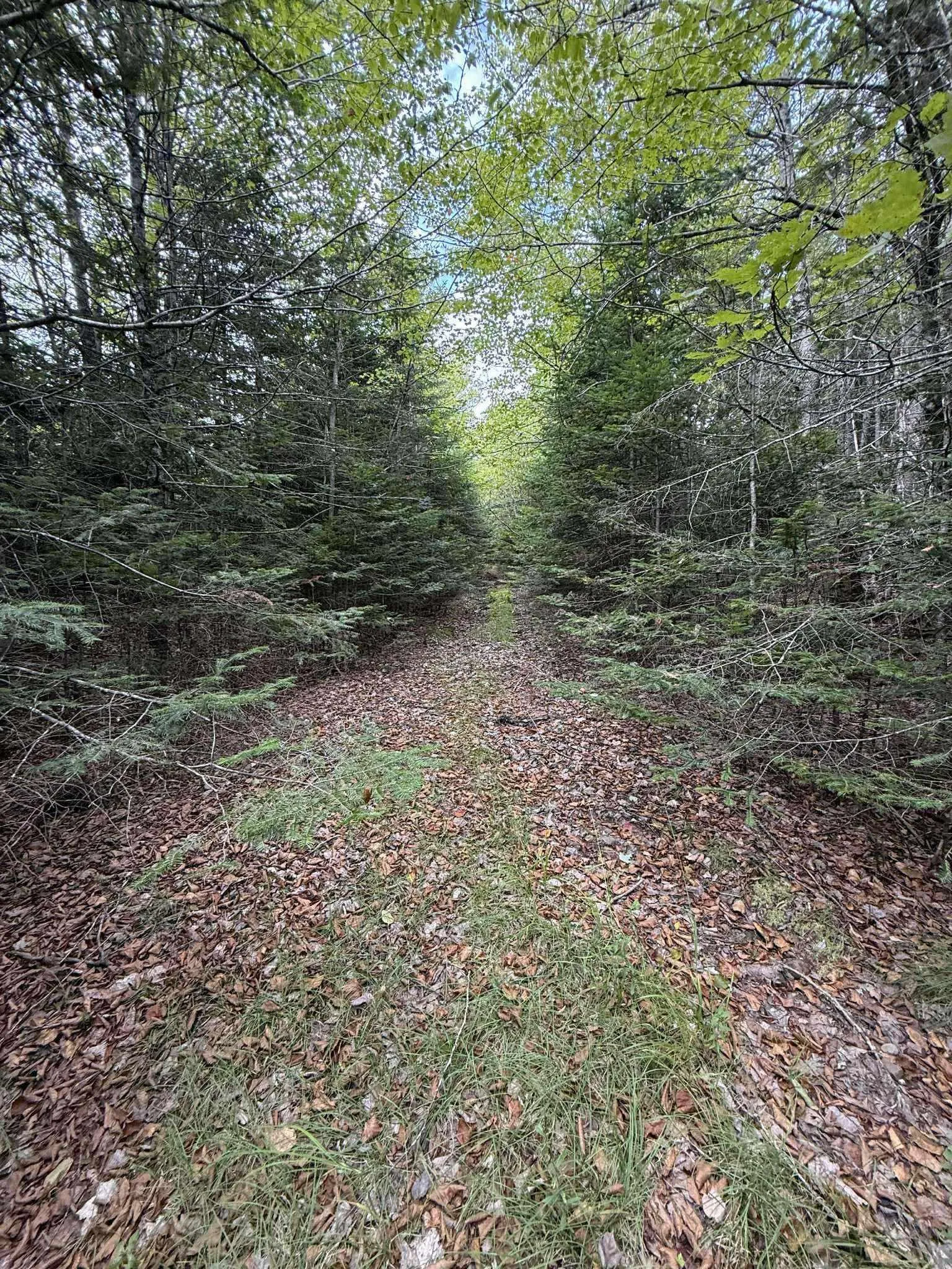 721 Indian Road, Nine Mile River, NS B2S 3E4, 4 Bedrooms Bedrooms, ,3 BathroomsBathrooms,Residential,For Sale,Indian,202525669