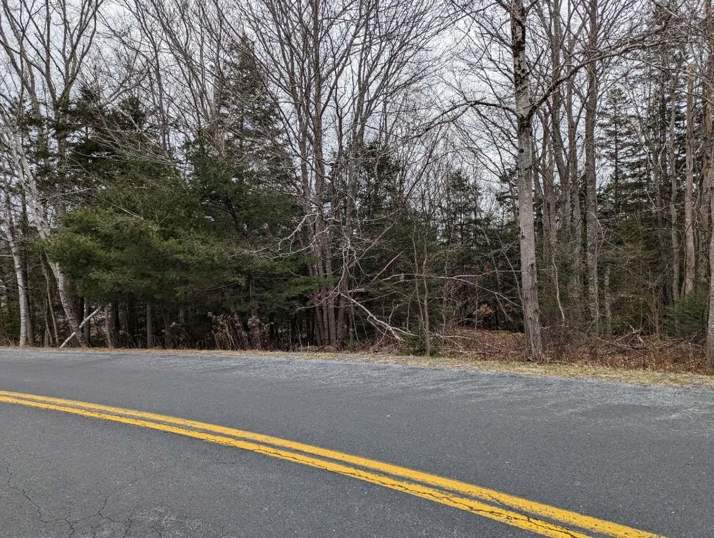 Catidian Place Road, Hebbville Ns B4v 7a7, ,Land,For Sale,Catidian Place Road,202427166