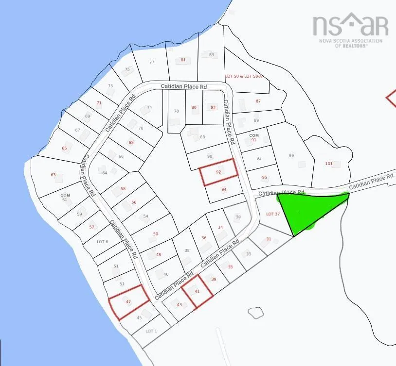 Catidian Place Road, Hebbville Ns B4v 7a7, ,Land,For Sale,Catidian Place Road,202427166