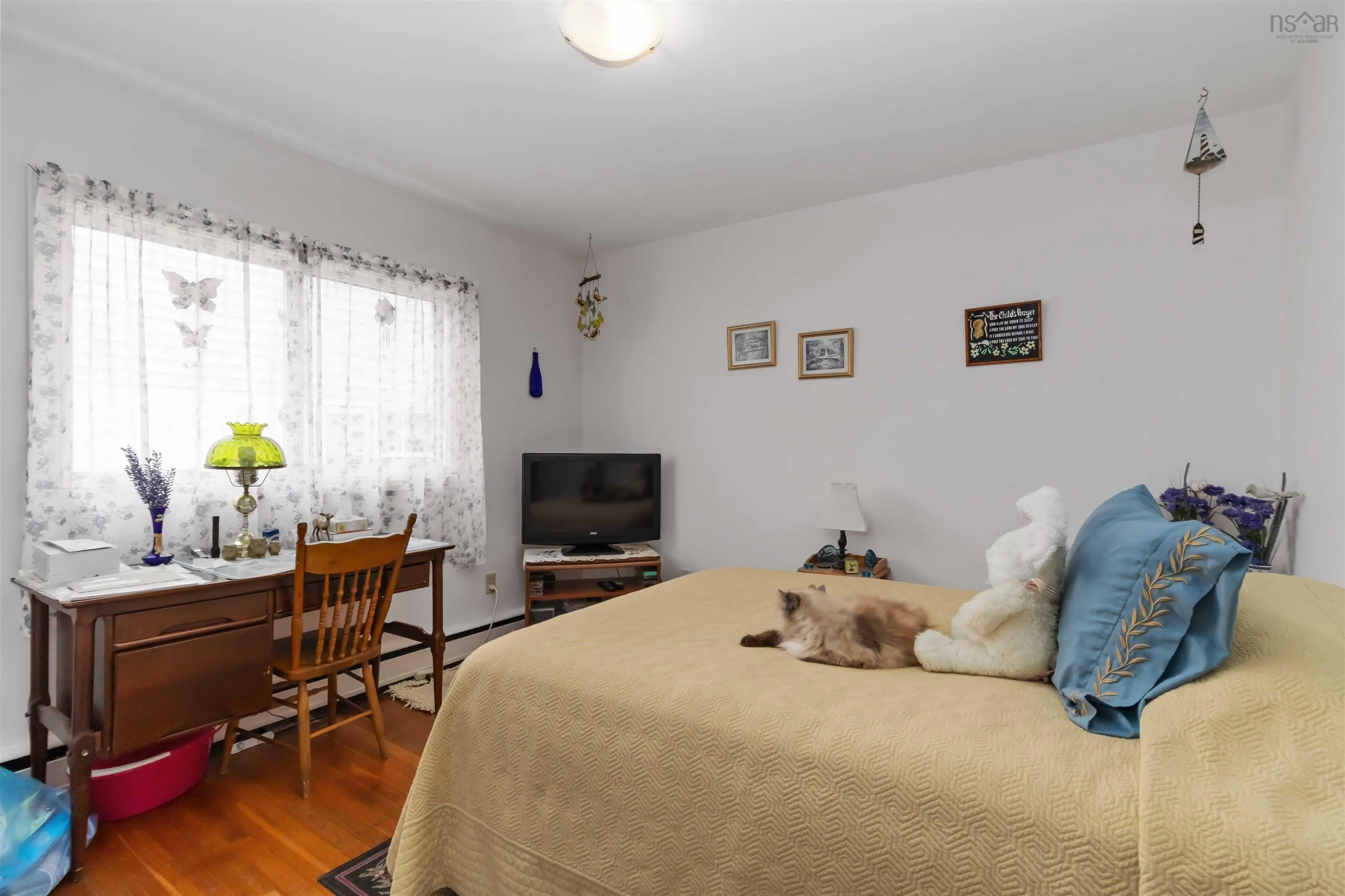 37 Gaston Road, Dartmouth, NS B2Y 3W2, 11 Bedrooms Bedrooms, ,Residential Income,For Sale,Gaston,202521523