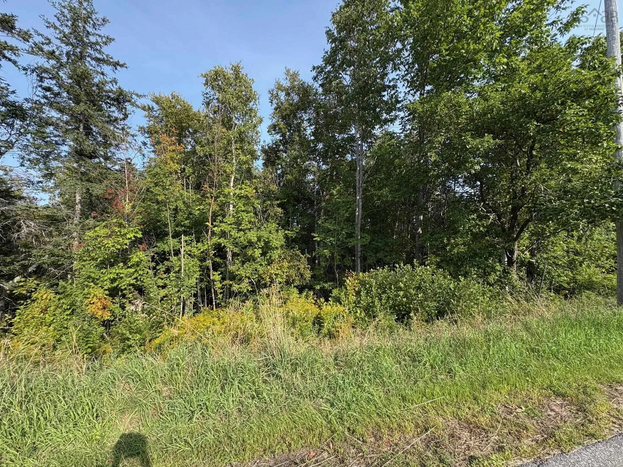 Thorburn Road, Thorburn, NS B0K 1W0, ,Land,For Sale,Thorburn,202522902