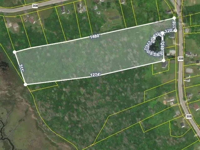 Lot 308 Highway, Sluice Point, NS B0W 3P0, ,Land,For Sale,308,202518209