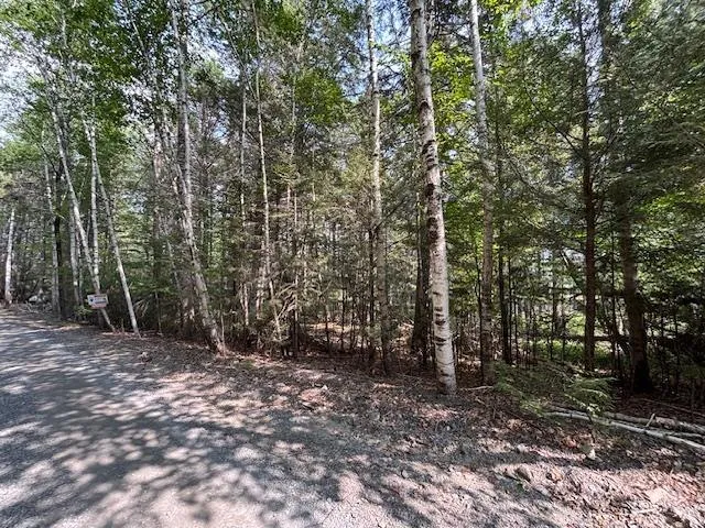 Beaver Dam Trail Lot 25, Labelle, NS B0T 1E0, ,Land,For Sale,Beaver Dam,202519898