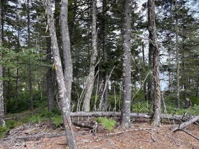 Beaver Dam Trail Lot 25, Labelle, NS B0T 1E0, ,Land,For Sale,Beaver Dam,202519898