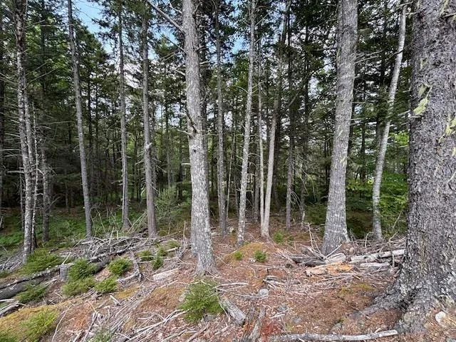 Beaver Dam Trail Lot 25, Labelle, NS B0T 1E0, ,Land,For Sale,Beaver Dam,202519898