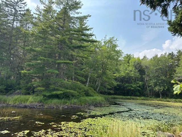 Beaver Dam Trail Lot 25, Labelle, NS B0T 1E0, ,Land,For Sale,Beaver Dam,202519898