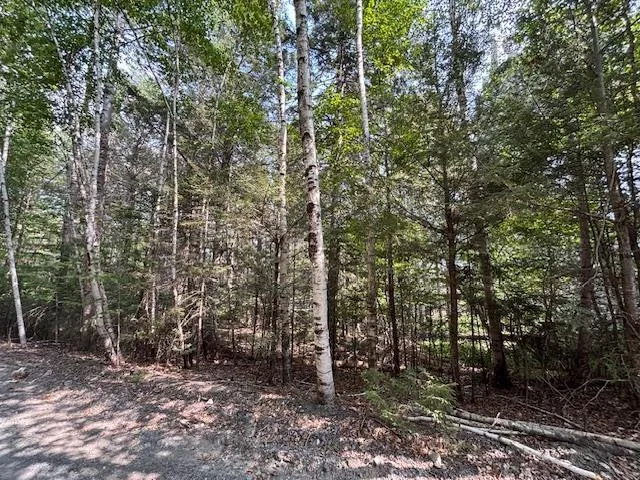 Beaver Dam Trail Lot 25, Labelle, NS B0T 1E0, ,Land,For Sale,Beaver Dam,202519898