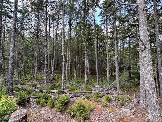 Beaver Dam Trail Lot 25, Labelle, NS B0T 1E0, ,Land,For Sale,Beaver Dam,202519898