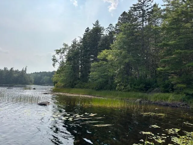 Beaver Dam Trail Lot 25, Labelle, NS B0T 1E0, ,Land,For Sale,Beaver Dam,202519898