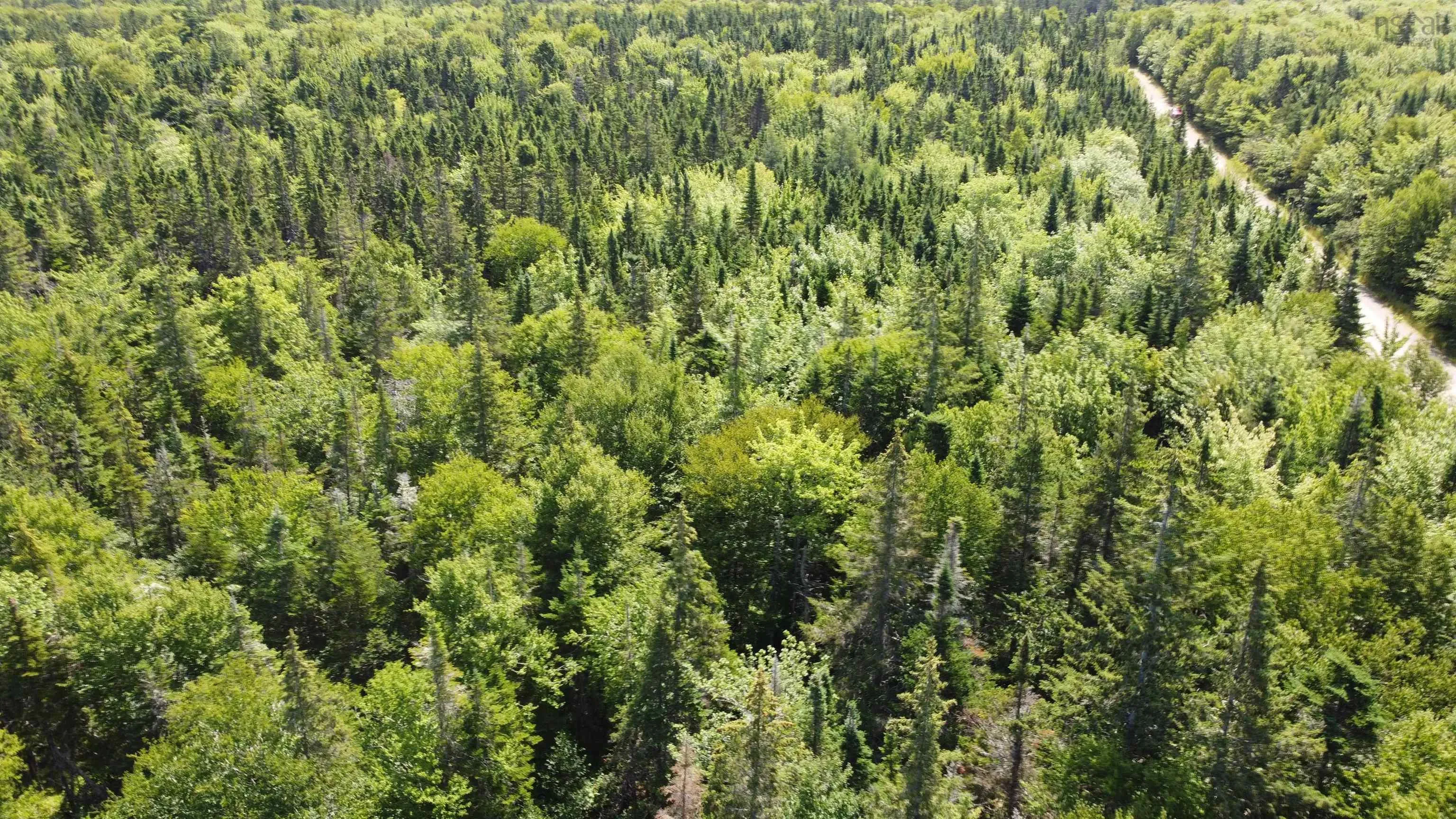 Lot 6 Calabash Road, Boularderie East, NS B1X 1K1, ,Land,For Sale,Calabash,202520072