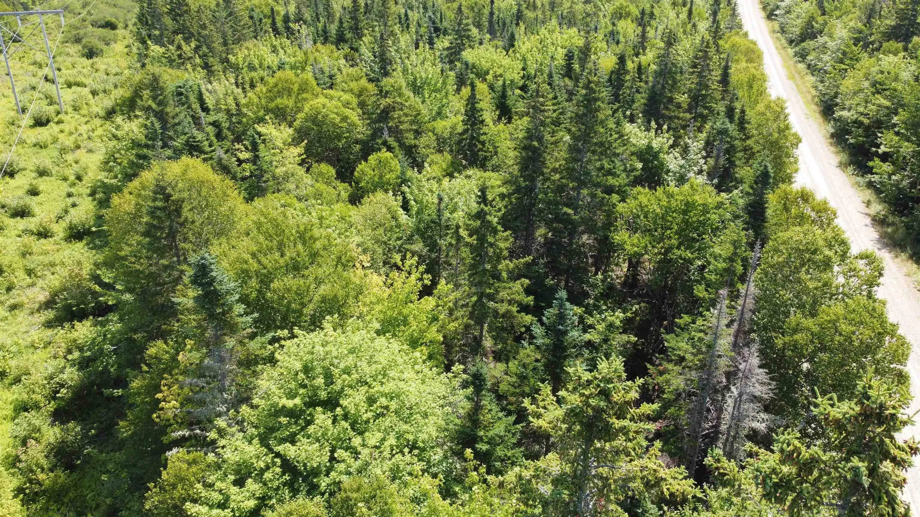 Lot 6 Calabash Road, Boularderie East, NS B1X 1K1, ,Land,For Sale,Calabash,202520072