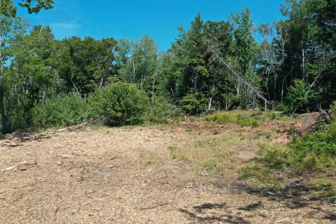 4488 Little Harbour Road, Little Harbour, NS B2H 5C4, ,Land,For Sale,Little Harbour Road,202516951