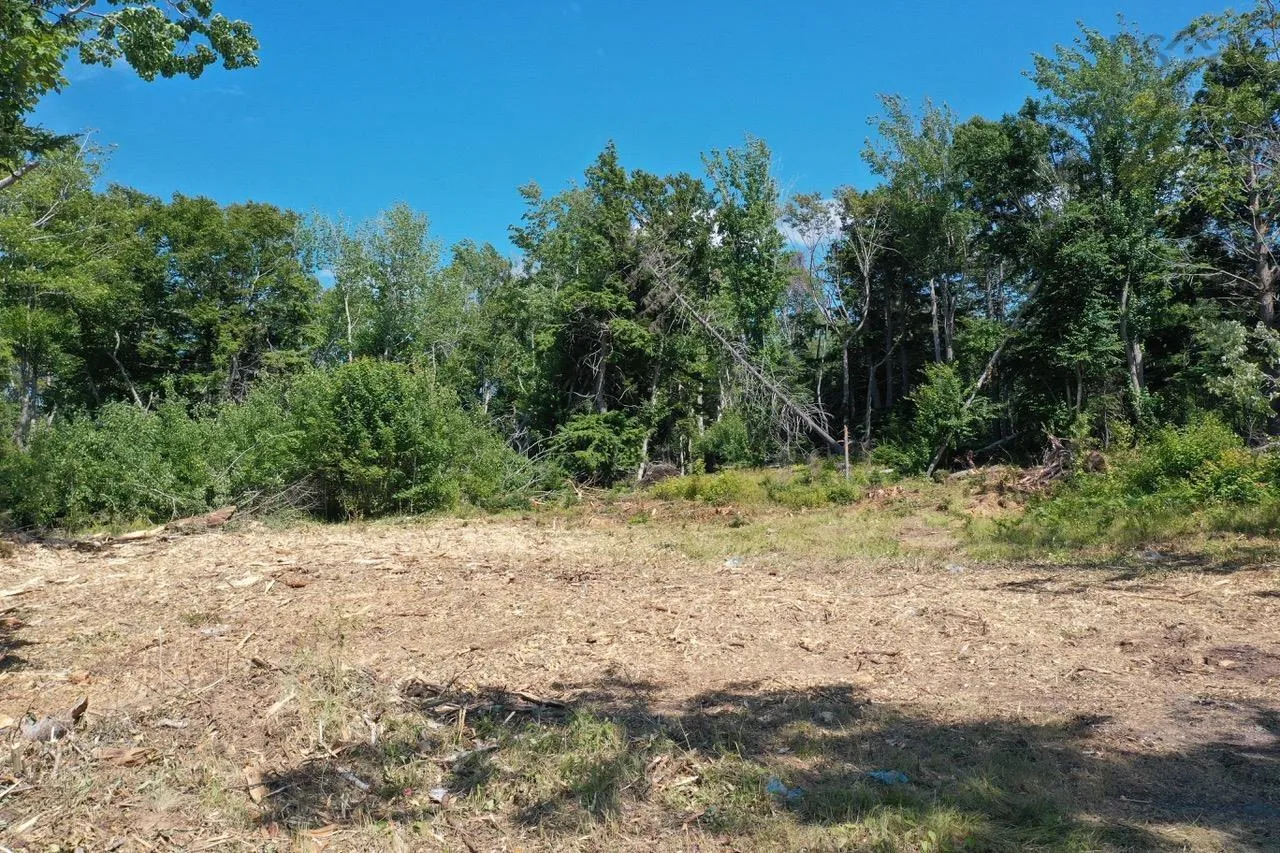4488 Little Harbour Road, Little Harbour, NS B2H 5C4, ,Land,For Sale,Little Harbour Road,202516951