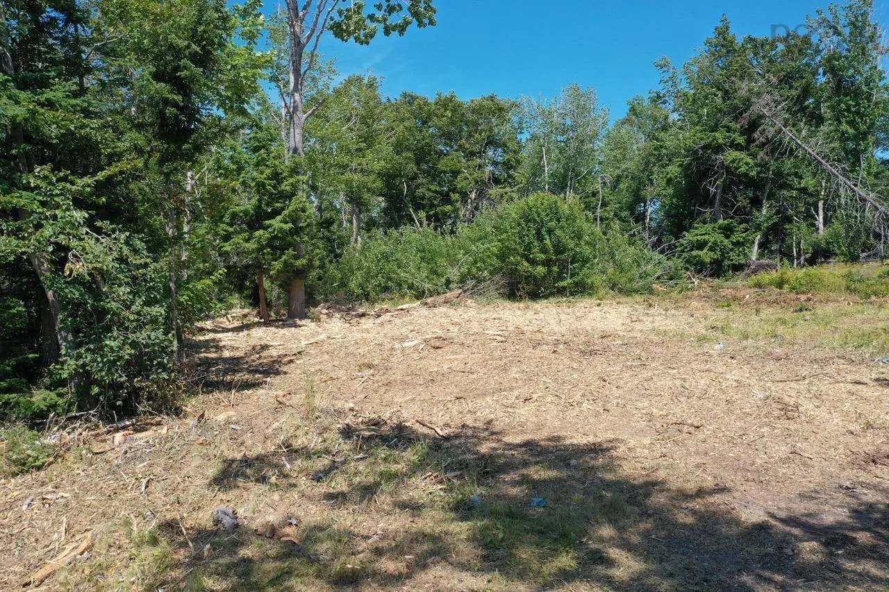 4488 Little Harbour Road, Little Harbour, NS B2H 5C4, ,Land,For Sale,Little Harbour Road,202516951