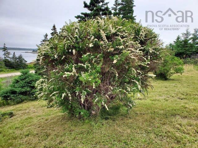 7272 Hwy #3, Upper Woods Harbour NS B0W 2E0, 4 Bedrooms Bedrooms, ,1 BathroomBathrooms,Residential,For Sale,Hwy #3,202400653