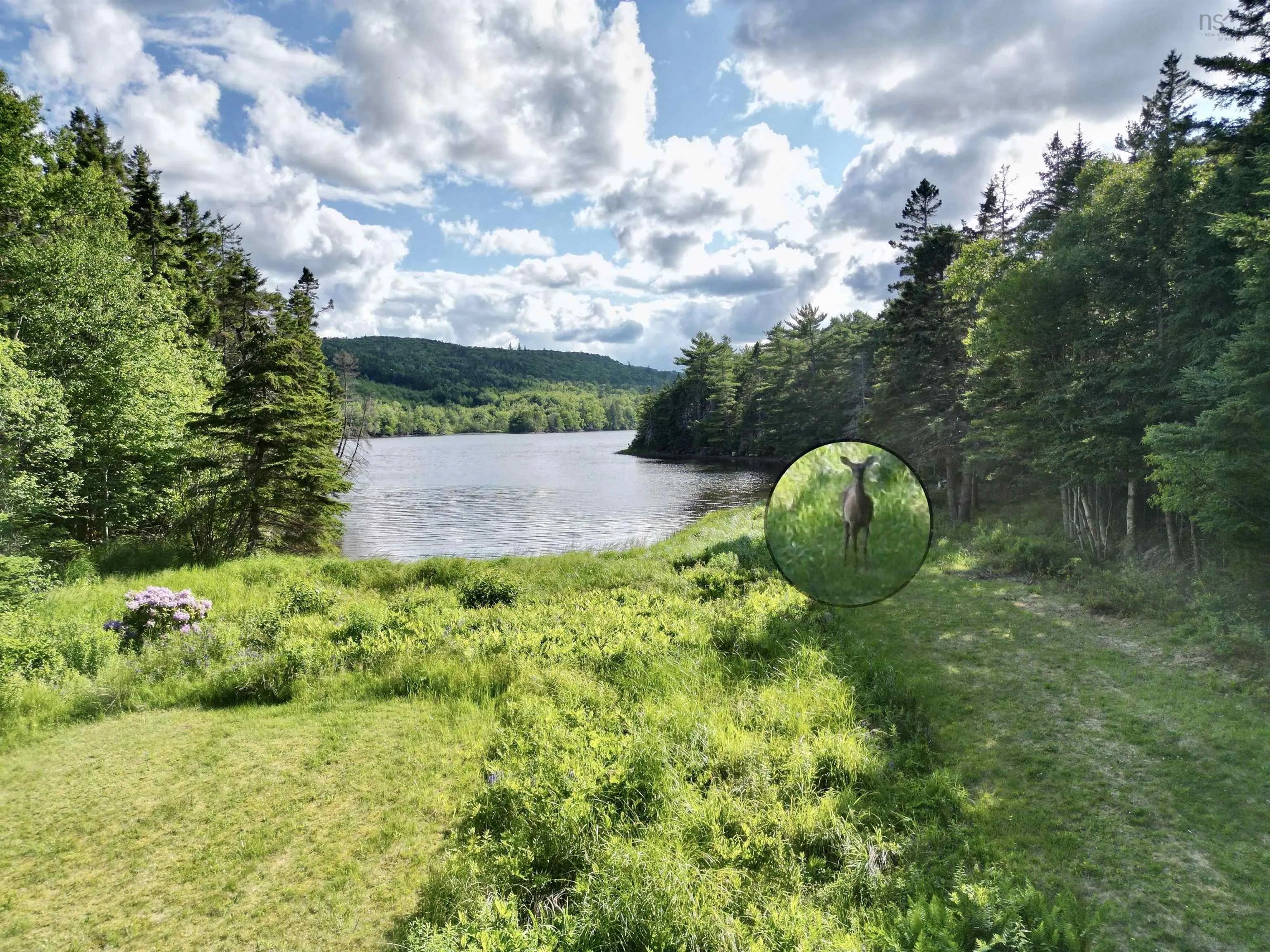 9169 Highway 16, Cooks Cove, NS B0H 1N0, 4 Bedrooms Bedrooms, ,4 BathroomsBathrooms,Residential,For Sale,Highway 16,202523045
