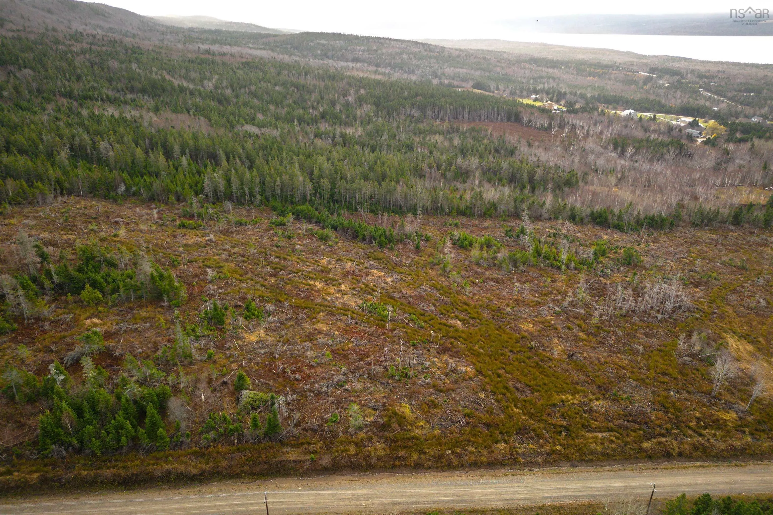 Lot 15 Creignish Mountain Road, Creignish Ns B9a 1b6, ,Land,For Sale,Creignish Mountain,202427133