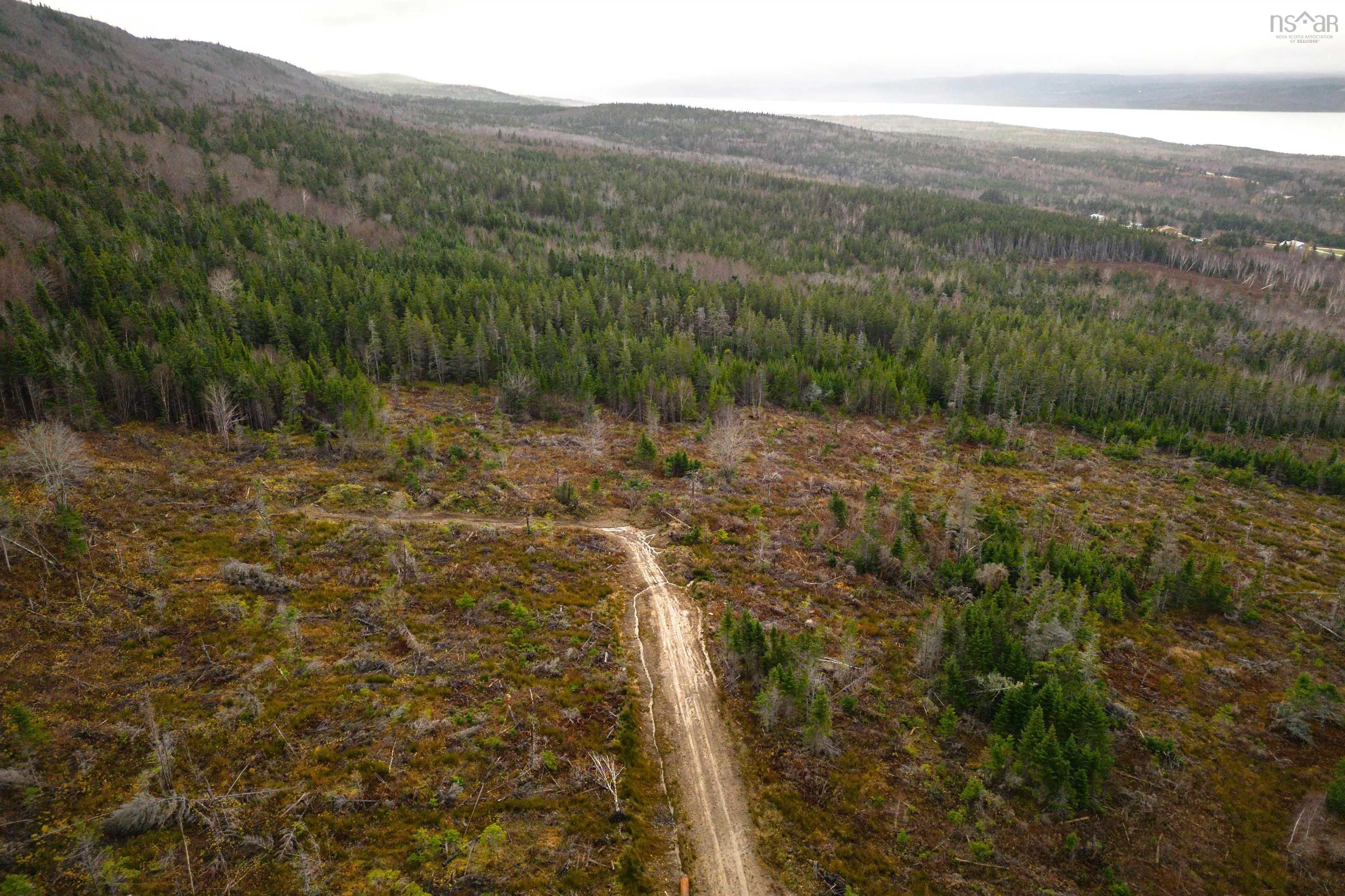Lot 15 Creignish Mountain Road, Creignish Ns B9a 1b6, ,Land,For Sale,Creignish Mountain,202427133