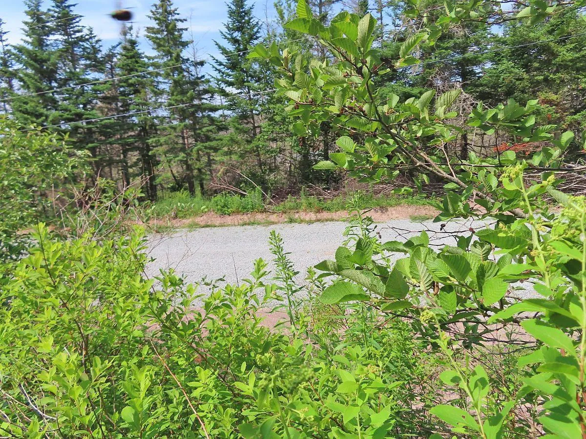 Lot 3 Rear Big Cove Road, Soldiers Cove, NS B0E 3B0, ,Land,For Sale,Rear Big Cove,202517506